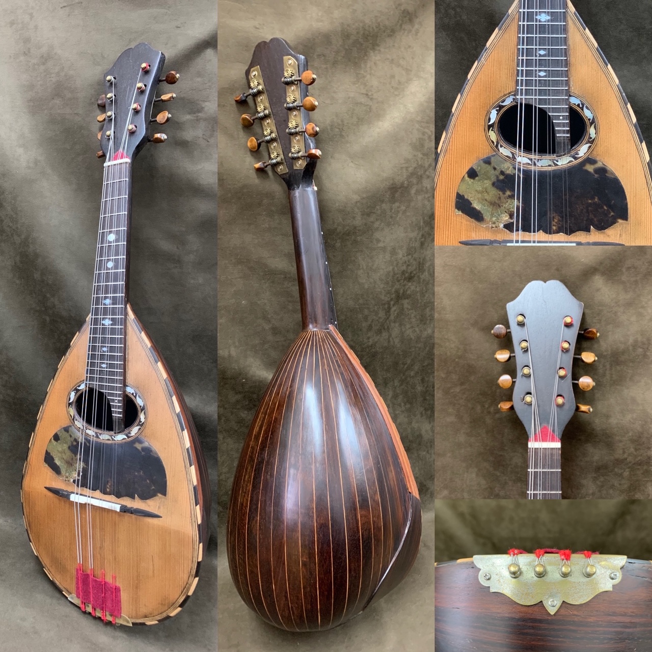 mandolin-photo - フレット楽器ヤマサキ